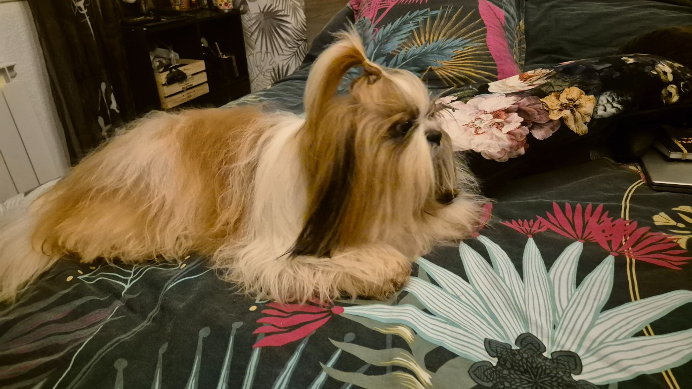 Up tu you du château d oriant du chateau d'o-riant